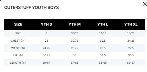 NFL - Cincinnati Bengals Fanatics Branded Youth AFC Champions Iconic Slant T-Shirt - Black